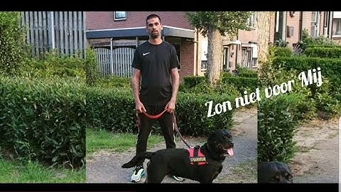 Enemie - Tis nog NIET Voorbij 🔞 (LyricVIDEO)