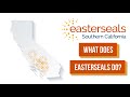 What does easterseals do