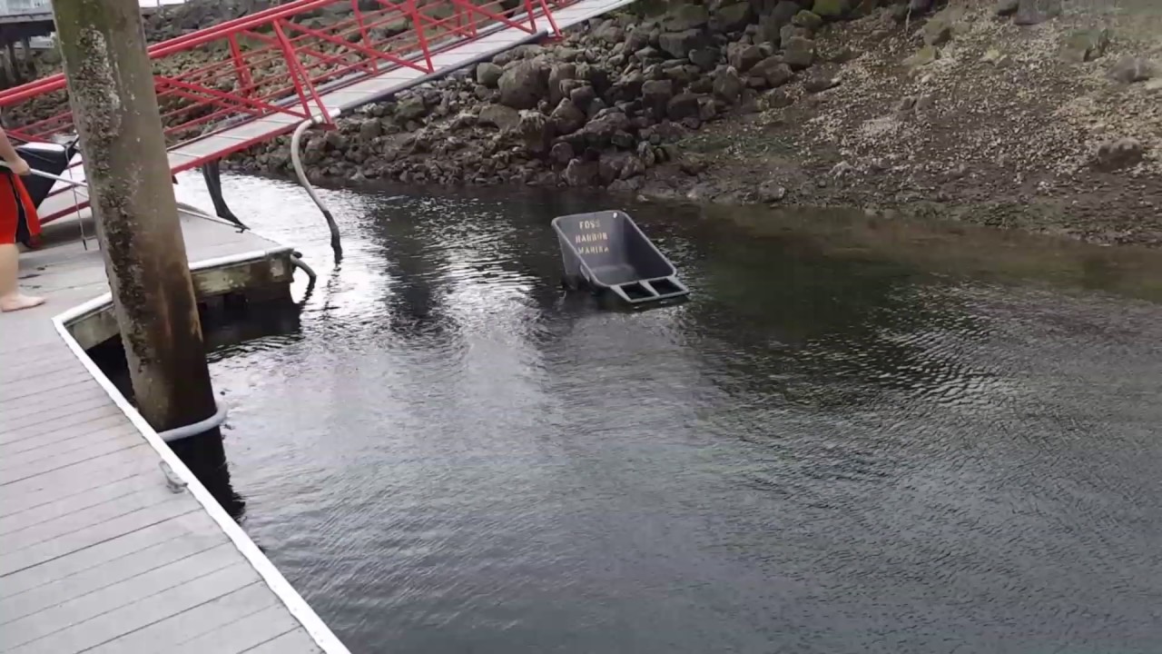 Pulling dock carts out of the water