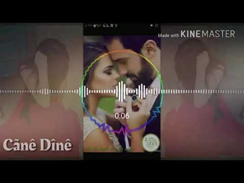 اجمل اغنية توبخير هاتي دلالامن