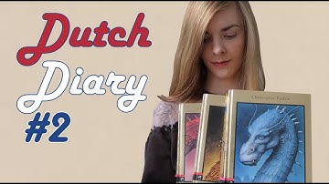 6 Months Dutch Progress Update | learning a language by reading only?