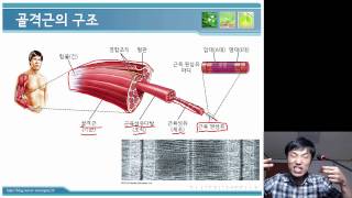 이대부고 생명 과학1 항상성과 몸의 조절 근수축 운동의 원리 이대부고 생명 과학1 항상성과 몸의 조절 근수축 운동의 원리