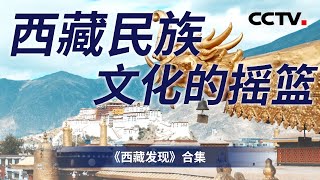 这是一部真实又自然的“西藏民俗宝典”以一幅古老的唐卡地图贯穿全片 带你品味西藏独有的高原风情【CCTV纪录】