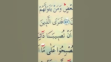 سورة المائدة الأية 51 إلى 52 القارئ سعد الغامدي
