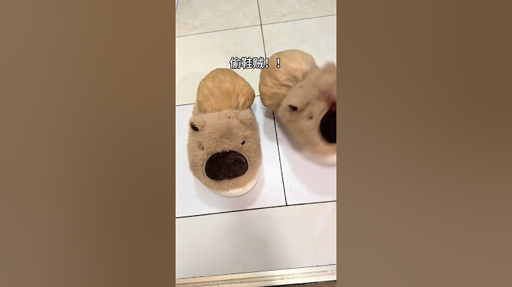 The little guinea pig is dragging the child. The daily records of the cute pets grown in the sli