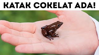 50+ Animal Facts That Prove Nature Is Stranger Than Fiction