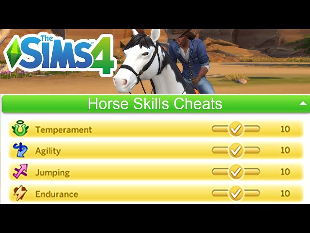 How To Use Horse Ranch Skills Cheats To Level Up & Max Out Horses