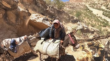 Dangerous migration of nomads to the village - Khadija