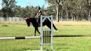 Indian Dreamer (flatwork) Andy