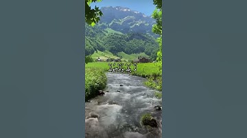 واتس اب قران كريم القارئ ياسر دوسري (سوره الإخلاص)