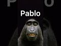 Pablo Meme Shorts Minecraft Pablo