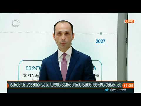 ლევან დავითაშვილი გარემოს დაცვისა და სოფლის მეურნეობის საქმიანობის წლიურ ანგარიშს წარადგენს