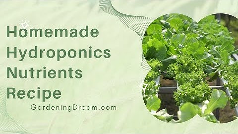 Homemade Hydroponics Nutrients Recipe