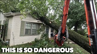 This tree nearly destroyed this house