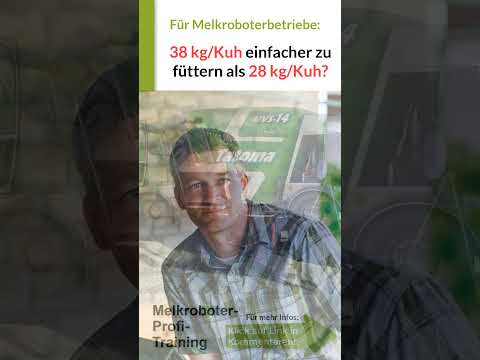 Kühe füttern: Warum