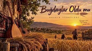 Buğdaylar Oldu Mu - Bozkır Türküleri