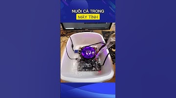 Dầu Khoáng Tản Nhiệt Máy Tính