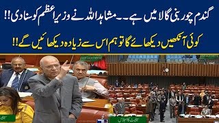 Mushahidullah Khan Uses Fiery Words for Imran Khan in Senate