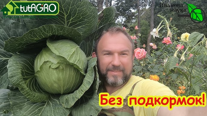 Yosh bokira jinsiy aloqa