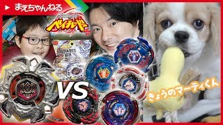 攻撃からの自動防御！ヴァリアレスD:D [メタルファイトベイブレード