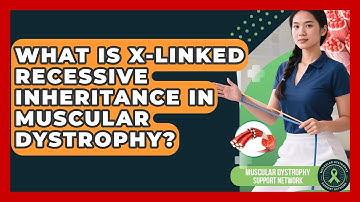 What Is X-Linked Recessive Inheritance In Muscular Dystrophy? - Muscular Dystrophy Support Network