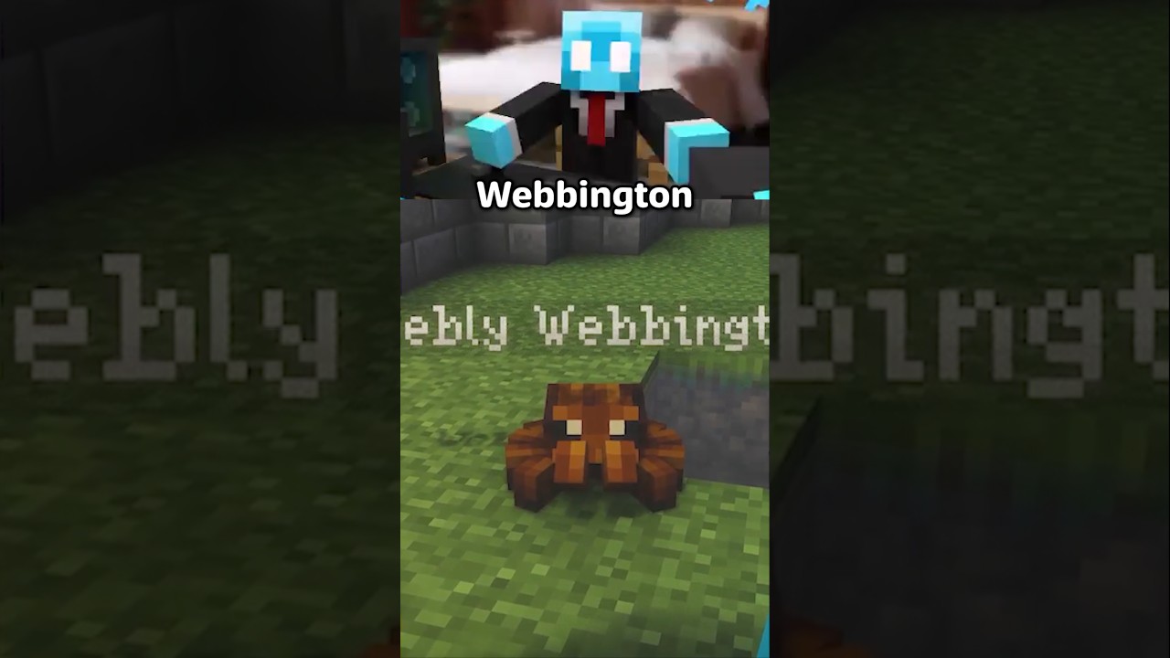 Rest in peace my Webly he got hit by a bazooka #minecraft
