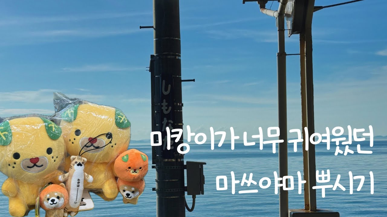 미캉이가 너무 귀여웠던 마쓰야마 뿌시기