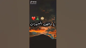 يا والفت السهرات 