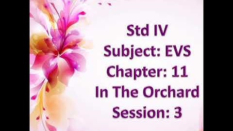 Std 4 | EVS | Ch 11 | Session 3