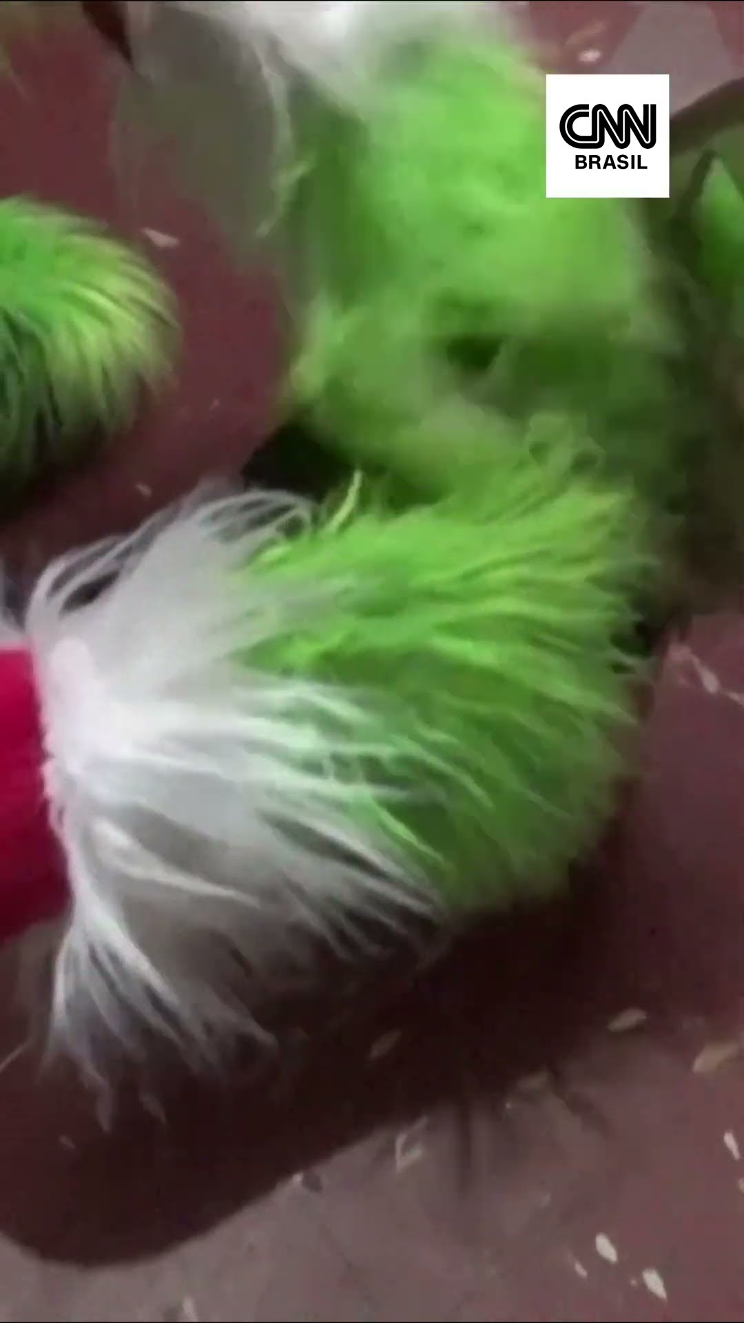 Peru: policial fantasiado de Grinch participa de operação contra o tráfico