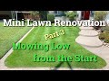 How To Renovate a Lawn | Part 3 - Results | Mowing Low Kentucky Bluegrass