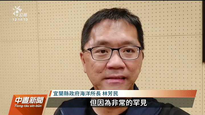 史前深海哥布林鲨被渔民捕获 台湾海洋艺术馆争取作为教材｜20230614 公视中昼新闻 - 天天要闻