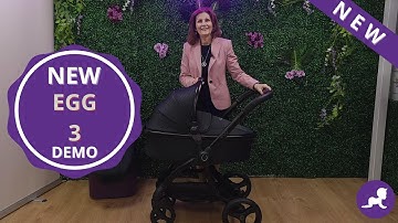 NEW Egg 3 2024 | Demo