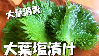 大葉レシピ♪大葉の塩漬けの津作り方