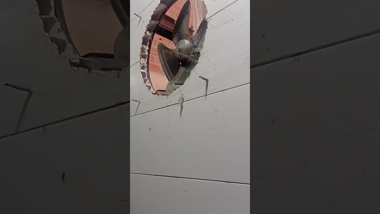 غرفة زراعة الفطر