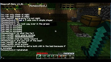 Minecraft Bed Bugs