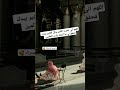 اللهم اني تمنيت الكثير وكل الكثير بيدك فحقق لي ما اتمناه يارب العالمين راحة نفسية اشتراك