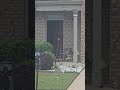 My Neighbors Door Is OPEN #scary #viral #police #adventure #look #investment #investing
