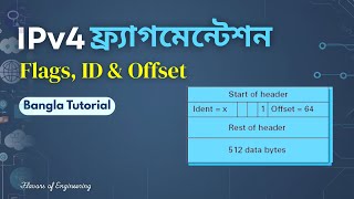 IPv4 Fragmentation Explained | Flags, Identification & Offset Fields |Bangla Tutorial