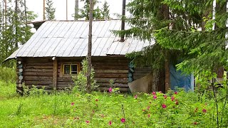 картинка: Летняя рыбалка ч1. Лесная изба. Четыре дня один в глухой тайге. Таёжный быт, кухня. Северная река