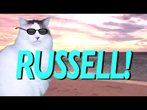 happy birthday russell epic cat happy birthday song birthday sign