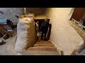 Off grid earthbag workshop part 76 cob and oak hobbit staircase