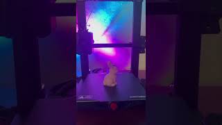 Famous 3D PRINTED Easter Bunny & Egg with Ears🐰| You’ve Gotta See This😱 #3dprinting #3dprint #3dart #tech Wealth