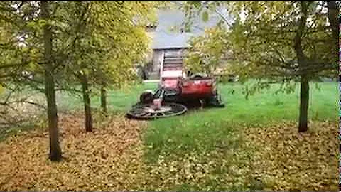 have not been functioning at their fullest potential. Families t Molagnies 2010