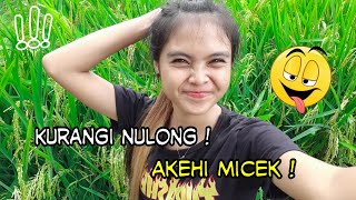 Story - Captions - Kurangi Nulong Akehi Micek