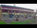 How to build a Chicken Breeding Coop | The Poultry Gardener