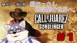 【Call of Juarez: Gunslinger】こういうのは当たりゃ良いんだよ！【初見プレイ】