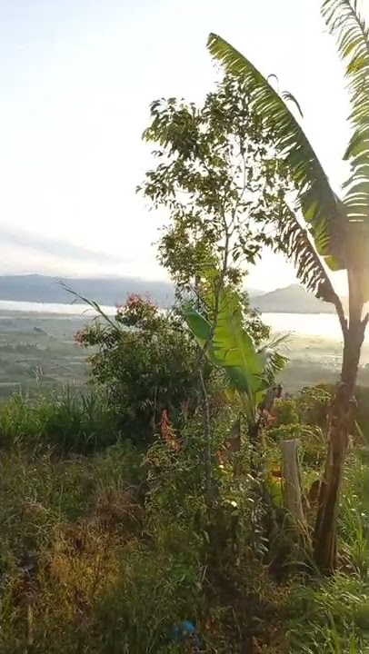 Negeri Di Awan