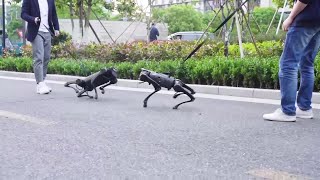 犬型ロボットと出かけよう