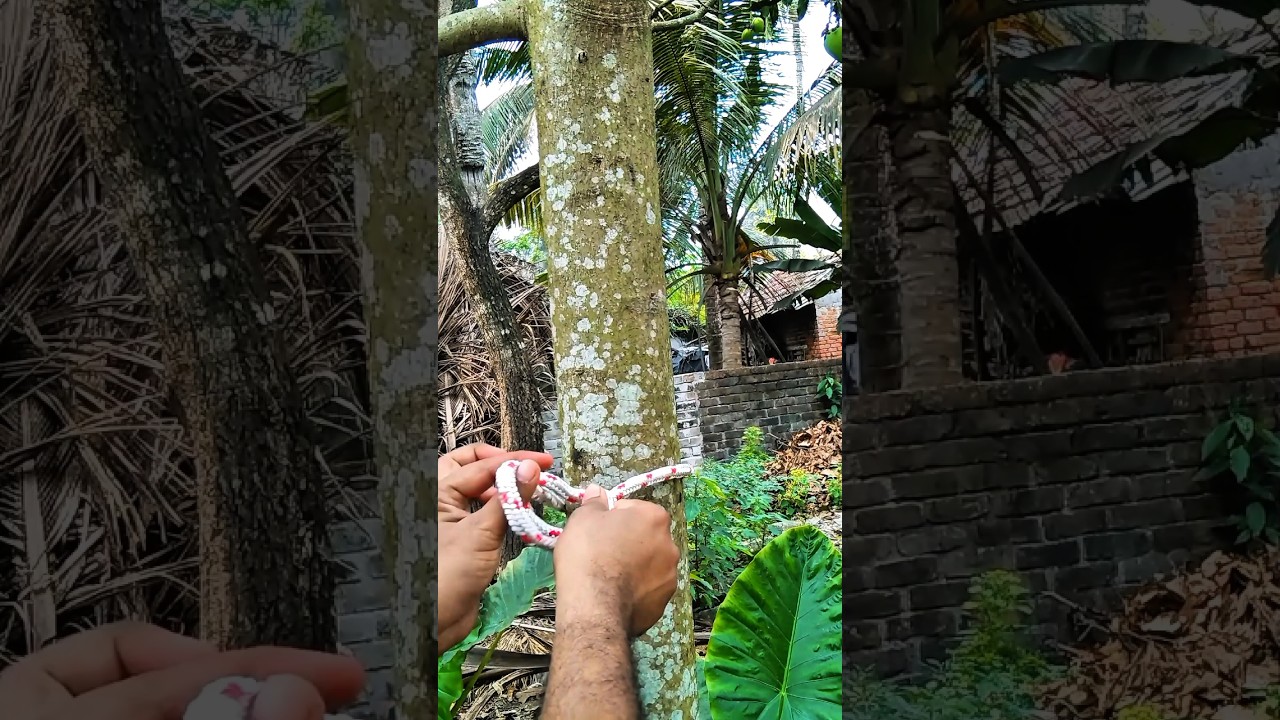 Incredible bowline knots! Which is the best in the world